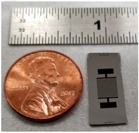 C-MEMS Chip