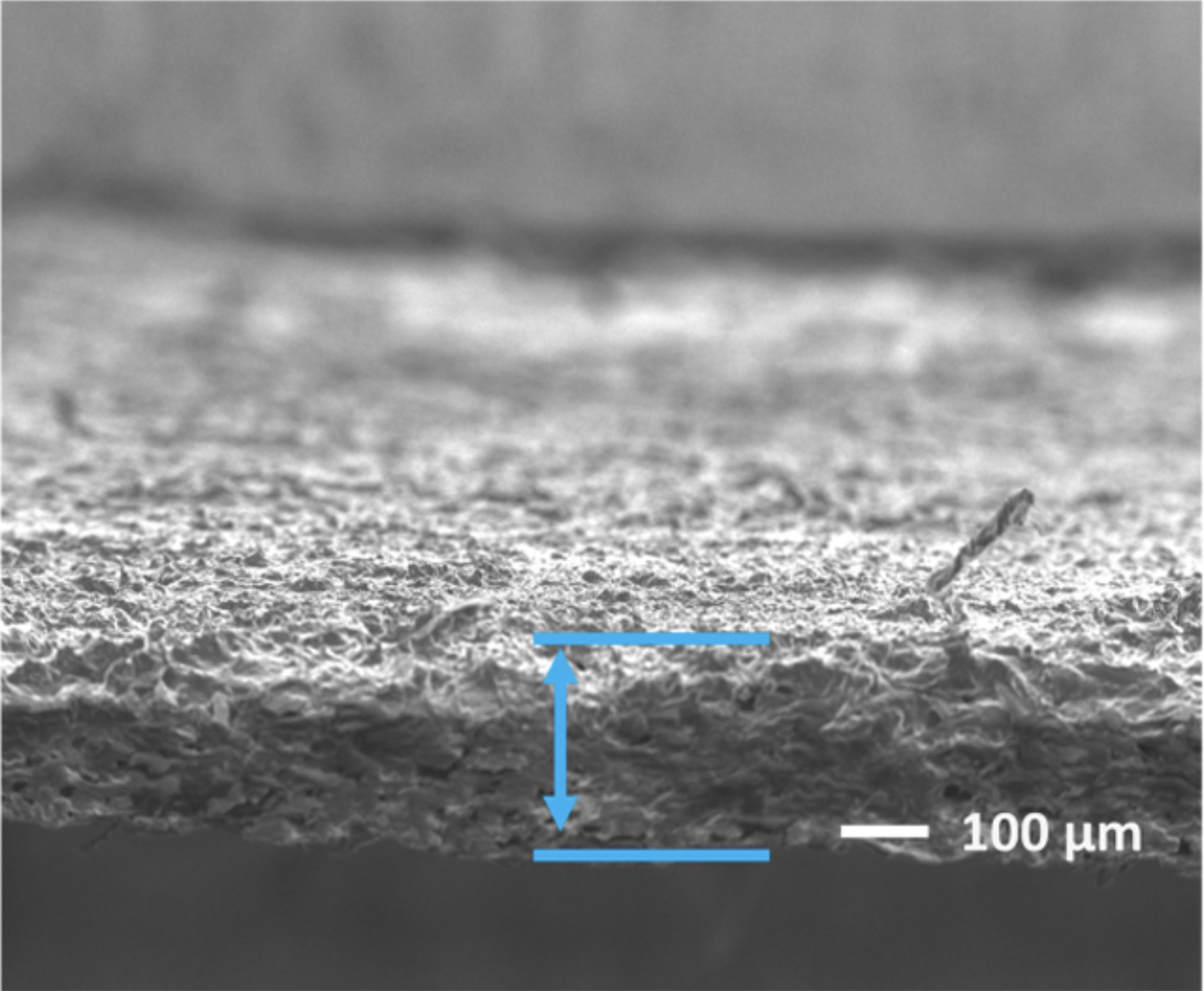 Porous Material SEM
