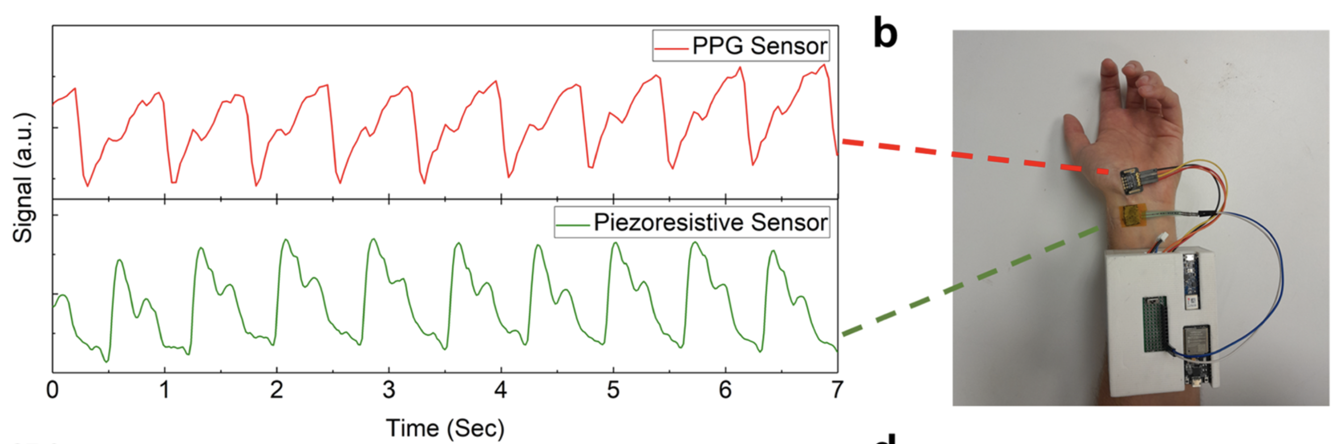 Pulse Waveform