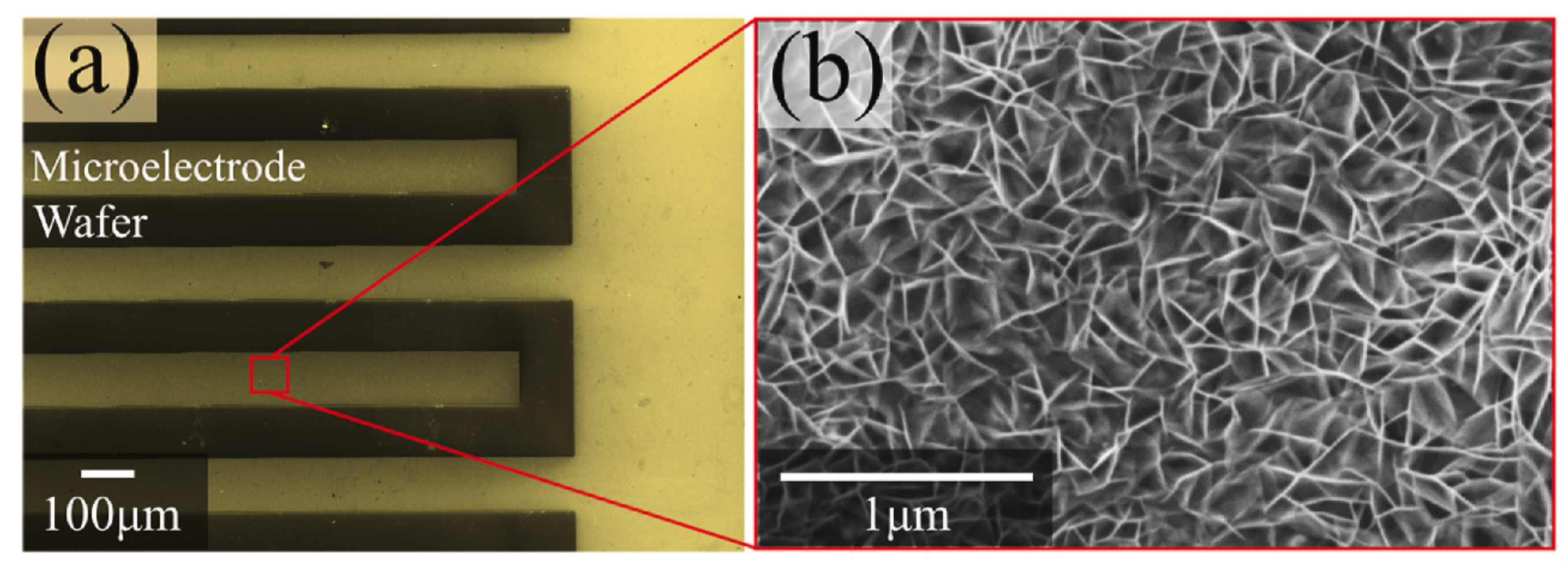 Vertically Aligned Graphene