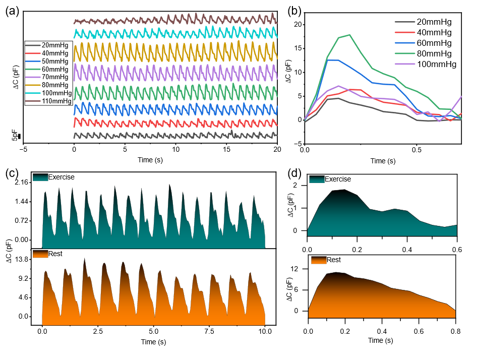 External Pressure Study