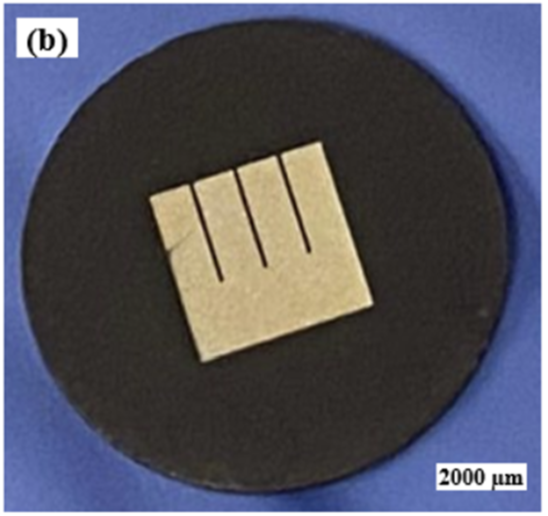 Fabricated Electrode