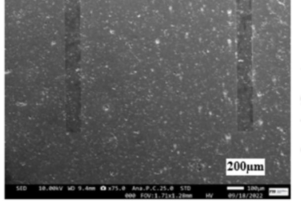 SEM Micrograph