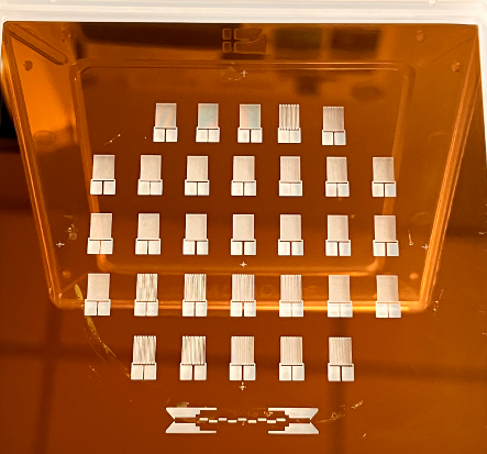 1D Strain Sensor Mask