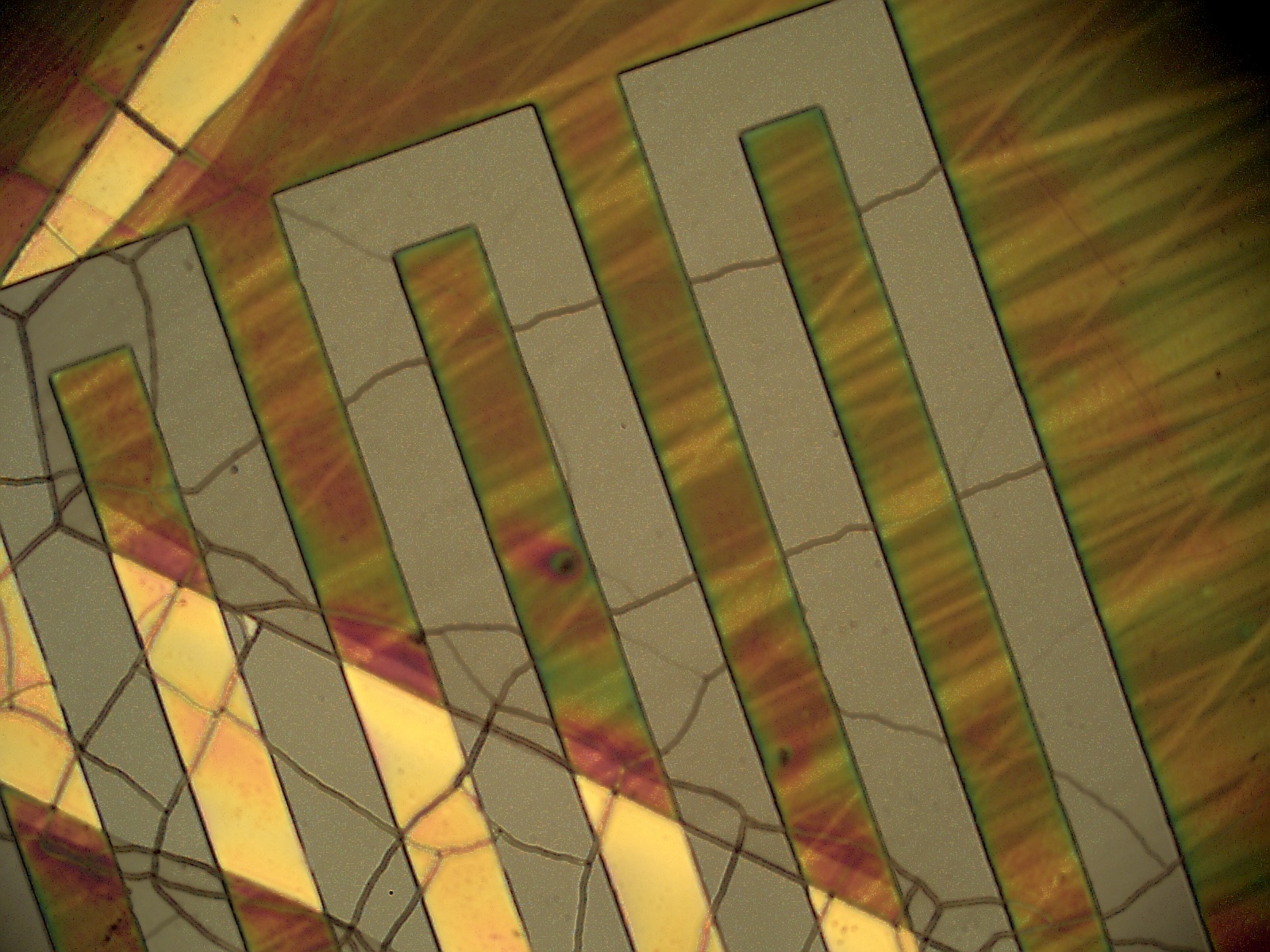 Over Treatment 1