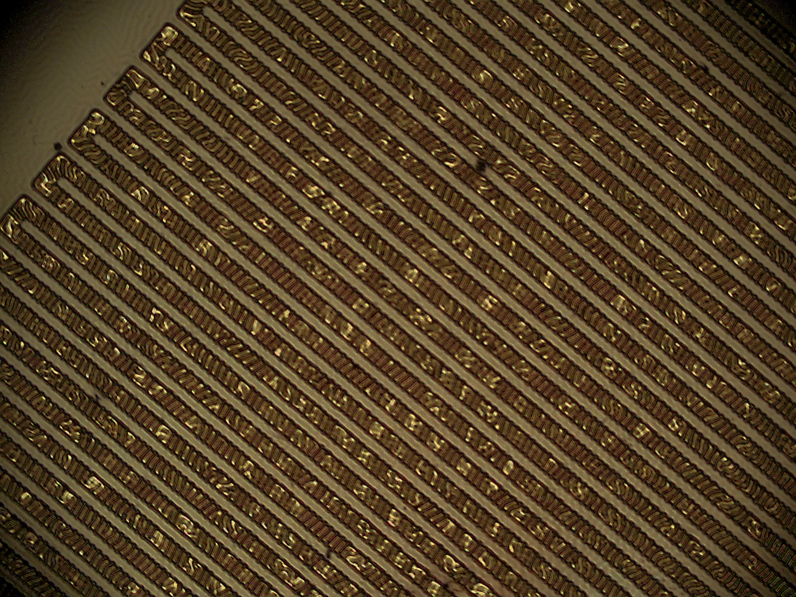 Patterned Device 30um