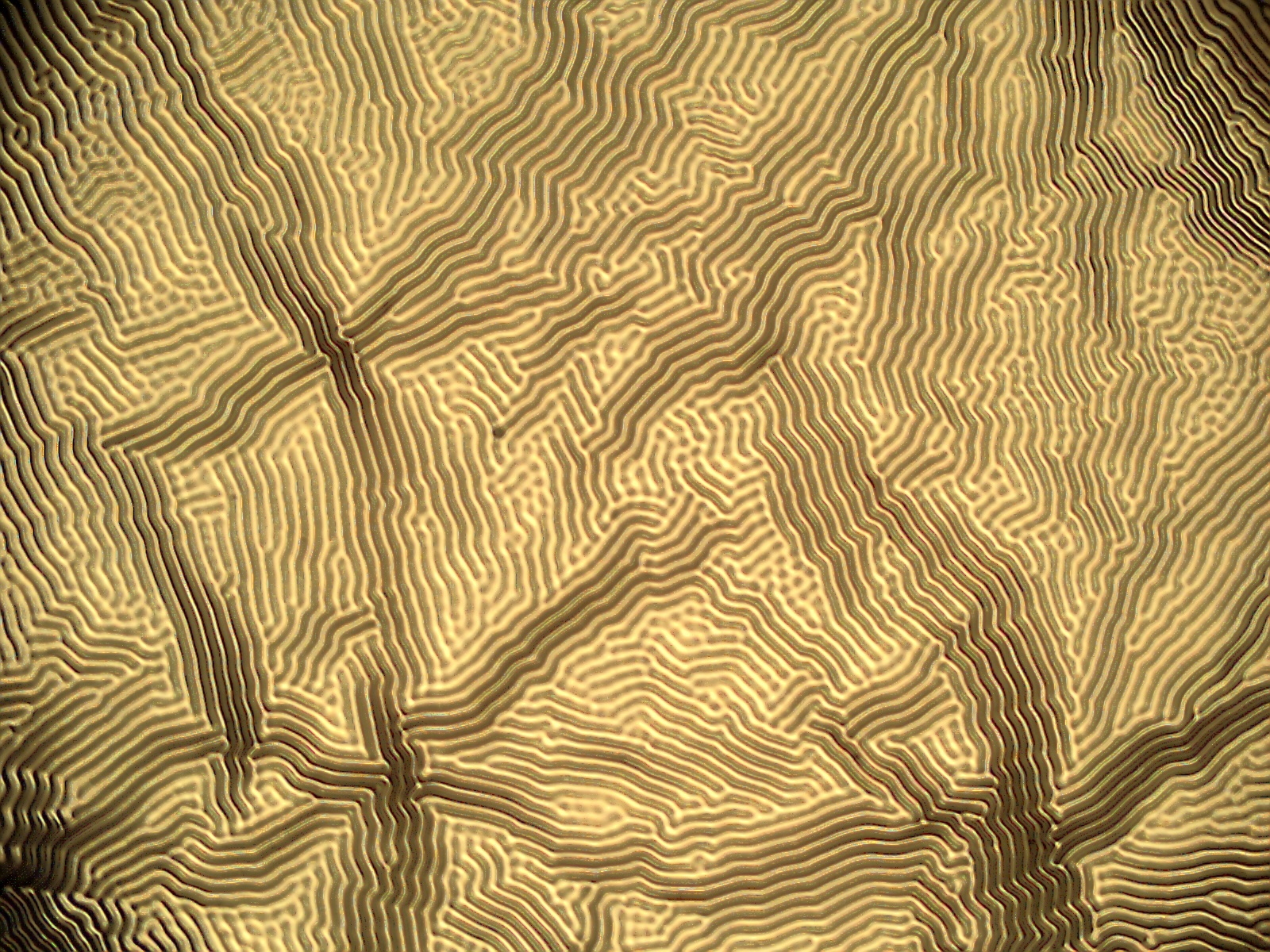 Wrinkle Pattern 1