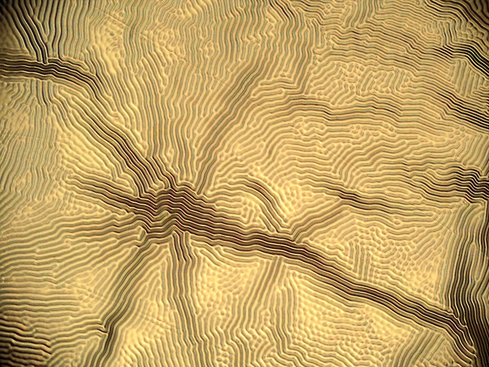Wrinkle Pattern 2